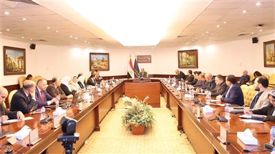 برئاسة وزير الاتصالات.. المجلس الأعلى للأمن السيبراني يناقش إجراءات مواجهة الأخطار والأعطال التقنية