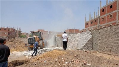 إزالة 15 تعدٍ على الأراضي الزراعية وأملاك الدولة ضمن الموجة 23 بالشرقية