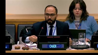 مساعد وزير المالية: نتجه لصياغة الاتفاقية الاطارية للضرائب الدولية التابعة للأمم المتحدة