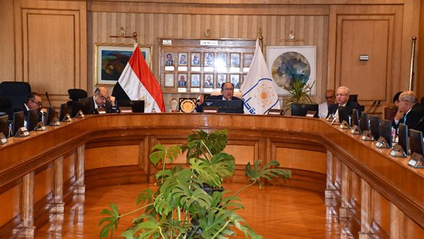 مجلس جامعة حلوان