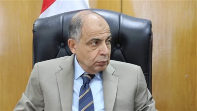 محافظ المنيا بندوة المشروعات الخضراء الذكية: لن ندخر جهدًا للوصول إلى الأهداف المرجوة