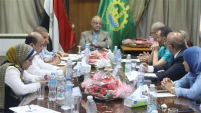 محافظ القليوبية: إنشاء 3 كباري مشاة بمحور الفريق العصار في شبرا الخيمة