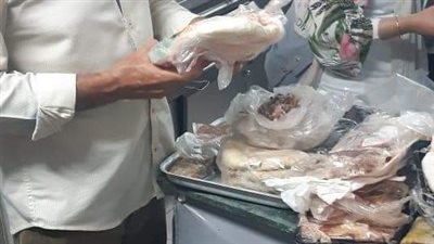 ضبط كميات من اللحوم والبحريات منتهية الصلاحية من محلات الـ تيك اواي ببورسعيد