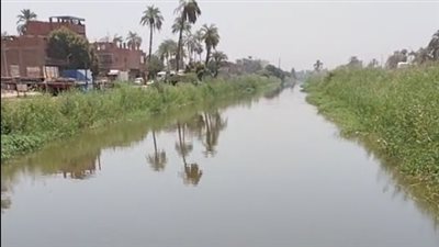 غرقوا في الترعة.. حمار ينهي حياة سيدة واثنين من أبنائها بسوهاج | بث مباشر 