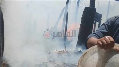 حريق هائل يلتهم مزرعة مواشي في بني سويف 