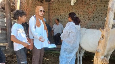 تحصين 166 ألف رأس ماشية ضد الحمى القلاعية بالفيوم | صور 