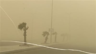 أمطار في مناطق عدة.. تقلبات جوية وعاصفة ترابية تضرب أسوان 