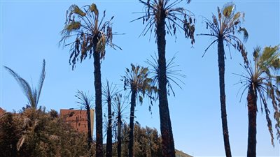 استمرار أعمال تبريد موقع حريق في ساحة تابعة للتضامن بالسويس