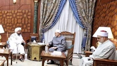 الإمام الأكبر والداعية.. لقاء يجمع شيخ الأزهر والحبيب علي الجفري بالمشيخة| صور