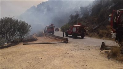 اندلاع حرائق في قرى جزائرية.. والسلطات تدفع بالحماية المدنية وطائرات الإطفاء