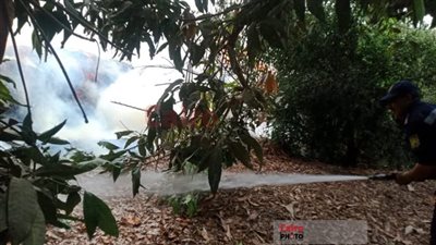 السيطرة على حريق اندلع بأرض زراعية في المنيا| بث مباشر 