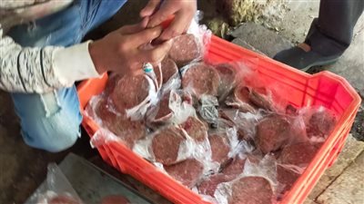 ضبط 14 طن لحوم ودواجن فاسدة بالجيزة