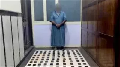 بقيمة مليون جنيه.. حبس شخص بتهمة الإتجار في المخدرات بالإسكندرية 