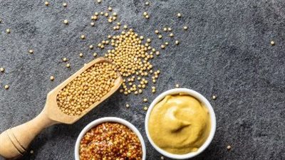 من الخردل | طريقة عمل المستردة للشيف نونا.. 3 وصفات بنكهات رائعة