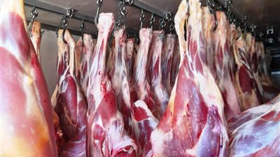 ضبط 11 جزارًا لعرضهم لحوما مذبوحة خارج المجازر الحكومية في البحيرة