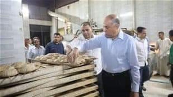 محافظ المنيا