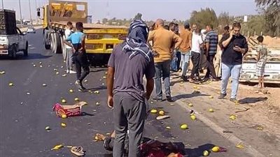 مصرع شخص وإصابة 2 آخرين في تصادم تريلا وميكروباص بالغربية