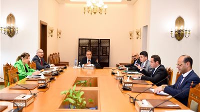 وزير الخارجية: رقمنة الخدمات القنصلية لمساعدة الجاليات المصرية بالخارج وربطها بوطنها الأم