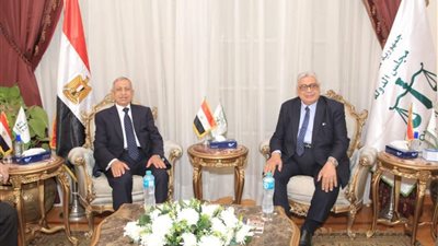 رئيسا مجلس الدولة والأكاديمية العربية يبحثان سبل تعزيز التعاون المشترك