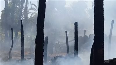السيطرة على حريق اندلع في أشجار نخيل بالأقصر