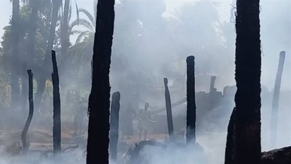 حريق هائل بكرم نخيل