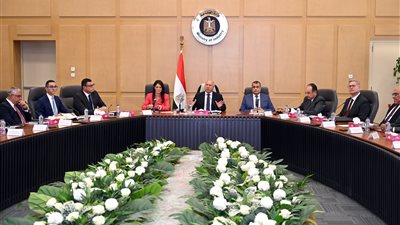 كامل الوزير: نقل 10 ملايين متر أراضٍ إلى التنمية الصناعية تمهيدا لمنحها للمستثمرين