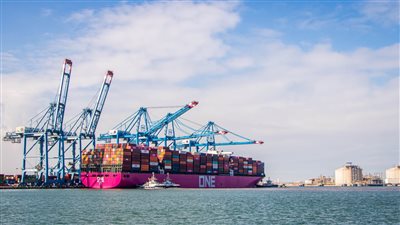 مصر تستورد نحو 130 ألف طن قمح من روسيا وأوكرانيا