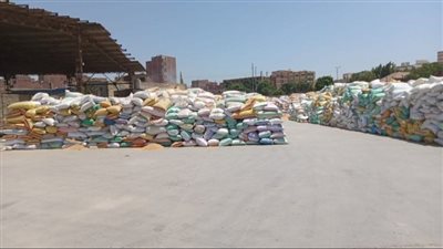 ارتفاع القمح المورد لصوامع الشرقية في موسم الحصاد لـ 620 ألف طن