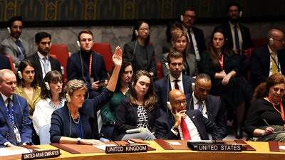 رئيس بعثة الدولي لحقوق الإنسان: من الضروري تعديل استخدام الفيتو واقتصاره على القضايا السياسية