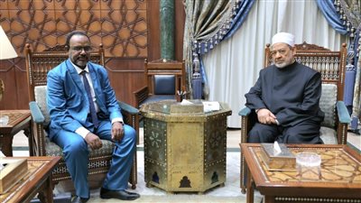 شيخ الأزهر: حريصون على نشر اللغة العربية.. وتقديم الدعم الكامل لدول القارة الإفريقية 