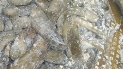 ضبط 6 أطنان مخلل فاسد داخل ثلاثة مصانع دون ترخيص بالبحيرة