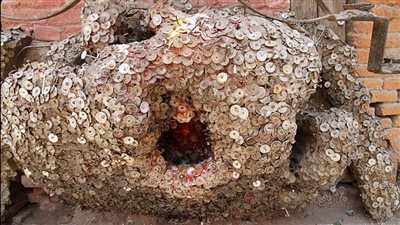 شجرة وجع الأسنان مزار سياحي مغطى بالعملات يقصده السياح من دول العالم