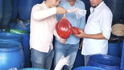 ضبط 3100 عبوة غذائية منتهية الصلاحية و3 أطنان مخلل فاسد بالبحيرة