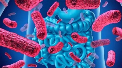 يؤثر على صحة الإنسان.. ما هو الميكروبيوم البشري؟