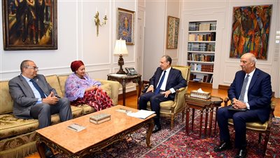 وزير الخارجية: مصر تولي أهمية مُتقدمة لتعزيز التعاون الدولي مُتعدد الأطراف