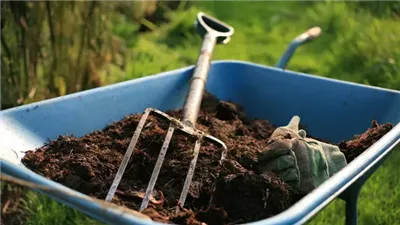  يصنع من الديدان.. ما لا تعرفه عن فيرمي الكمبوست بديل السماد الكيماوي