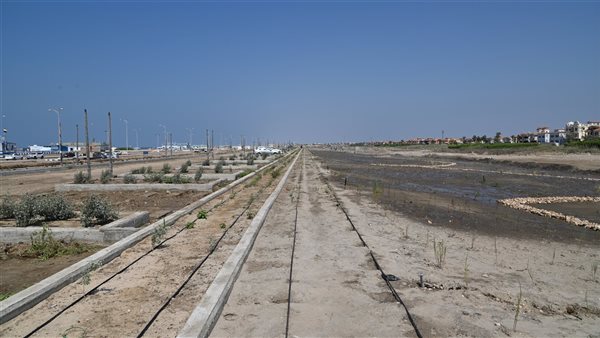  مشروع للتكيف مع