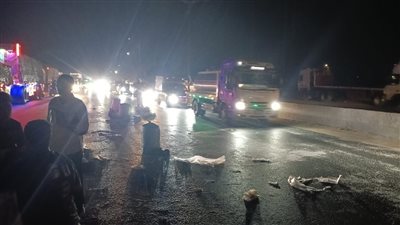 سقوط حمولة سيارة نقل على طريق القاهرة الإسكندرية الزراعي بالمنوفية| صور