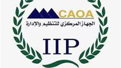 مصادر: تعيين حاتم نبيل عبد الحميد وكيلا لـ الجهاز المركزي للتنظيم والإدارة