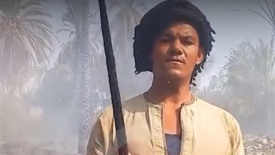 المزارعون المتضررون من حريق النخيل بالأقصر: محصول السنة كله راح| بث مباشر