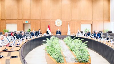 التعليم العالي تطلق مبادرتي اتعلم بصحة و100 يوم رياضة بداية من العام الدراسي الجديد