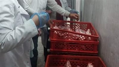 ضبط 750 كيلو دواجن وأسماك رنجة مجهولة المصدر بالشرقية