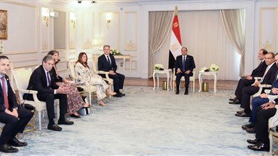 السيسي لـ وزير الخارجية الأمريكي: يجب أن يكون وقف إطلاق النار في غزة بداية لاعتراف دولي بفلسطين