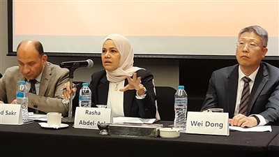 الضرائب: مصر تسعى لجذب المزيد من الاستثمارات الصينية عبر المنطقة الاقتصادية ذات الطبيعة الخاصة 