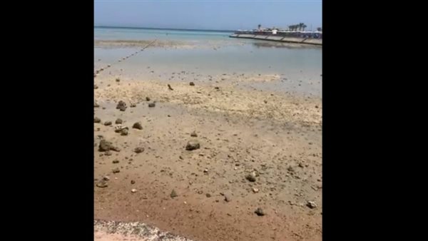 بحر الغردقة