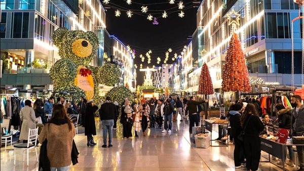 مول شهير بالشيخ زايد