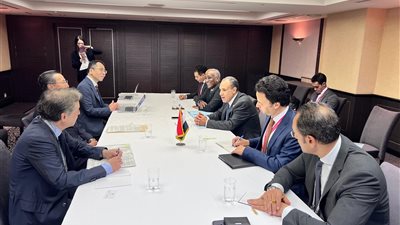 وزير الخارجية يلتقي المدير التنفيذي لمنظمة التجارة الخارجية اليابانية 