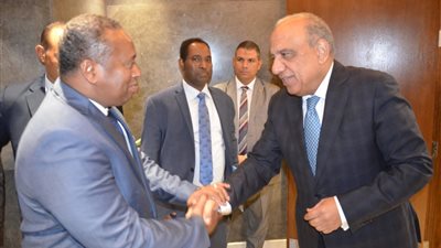 وزير الكهرباء: مستعدون لتلبية احتياجات جيبوتي بمجالات الكهرباء