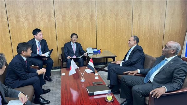 جانب من اللقاء 