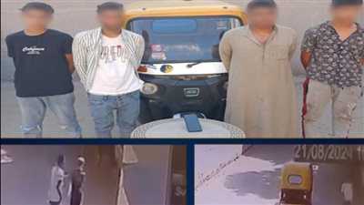 خطفوه بـ توك توك.. ضبط 3 أشخاص لاتهامهم بسرقة هاتف فتاة بالبحيرة